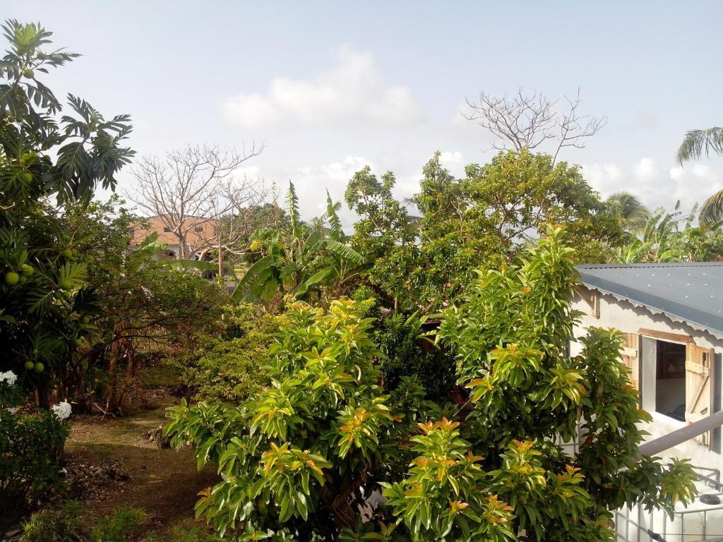 Maison Des Alizes Gros Cap Phòng bức ảnh